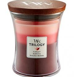 Currant - Trilogy 566908/CAS