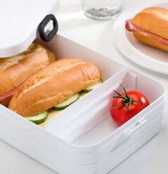 Desiatový box TO GO L mentolový