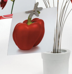 Stojan na fotky PETAL 306980670