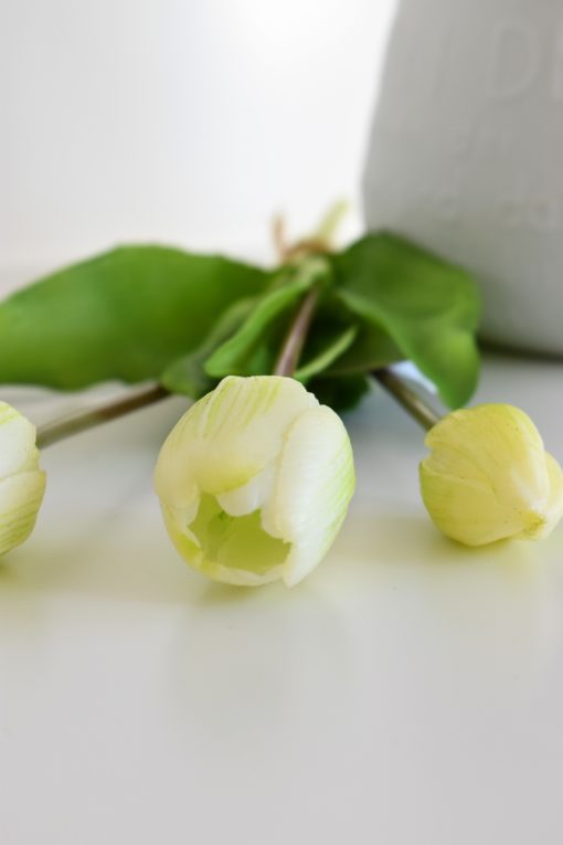 kytička tulipánov - biele