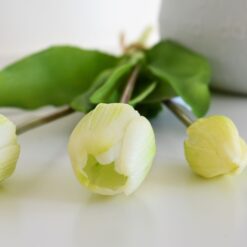 kytička tulipánov - biele