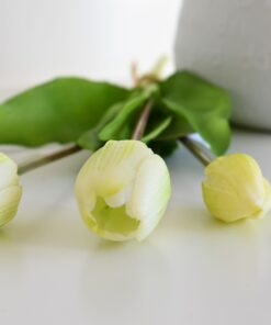 kytička tulipánov - biele