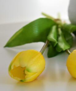 Kytička tulipánov - žlté