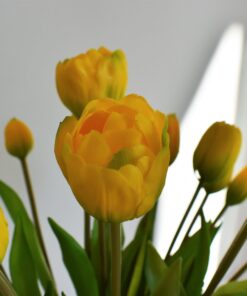 Kytička tulipánov 7ks