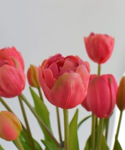 Kytička tulipánov-ružové