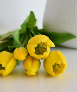tulipány silikónové- žlté