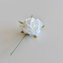 Mini biela ruža