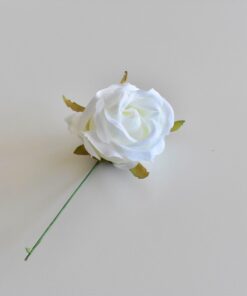 Mini biela ruža