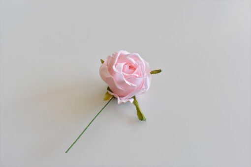 Mini púdrová ruža