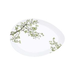 servirovaci-tanier-natura-36cm