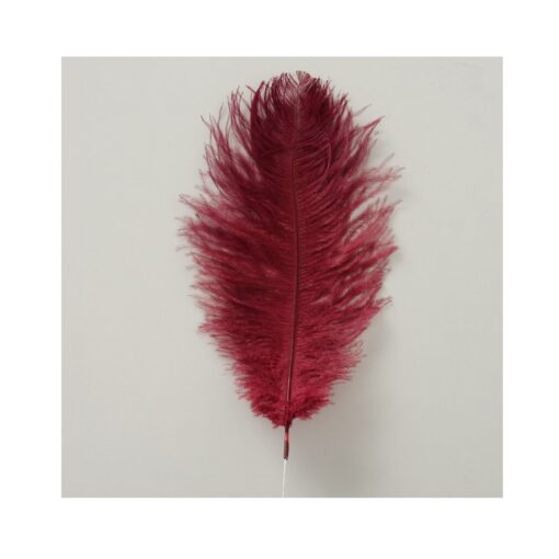 dekoracne-pstrosie-perie-53cm-bordo