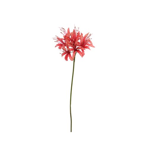 umely-konar-lycoris-radiata-70cm